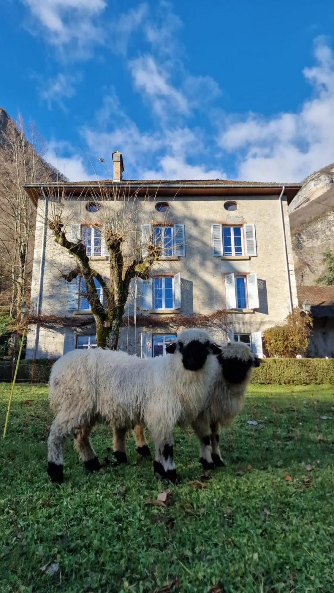 Chateau Monts Blancs Lumbin Екстериор снимка